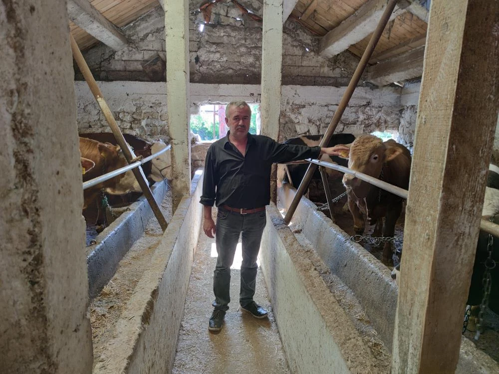 Kurbanlıklar bu yıl yüzde 20 zamlı