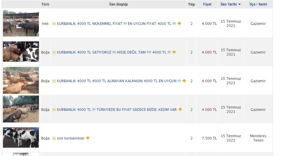 İnternette ‘kurbanlık satıyoruz’ ilanı şaşırttı