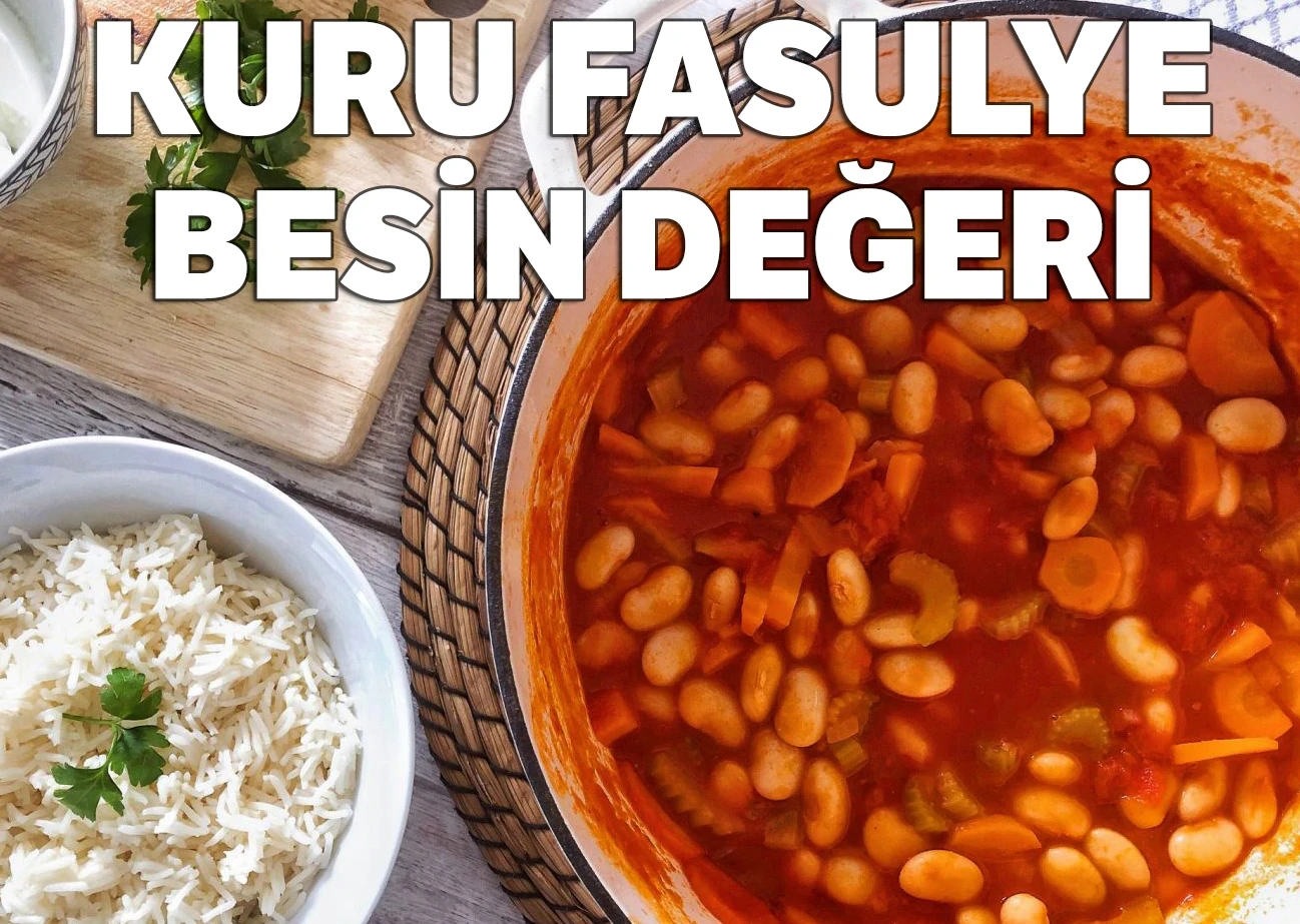 Kuru Fasulye Protein Miktarı, Kuru Fasulye Besin Değeri