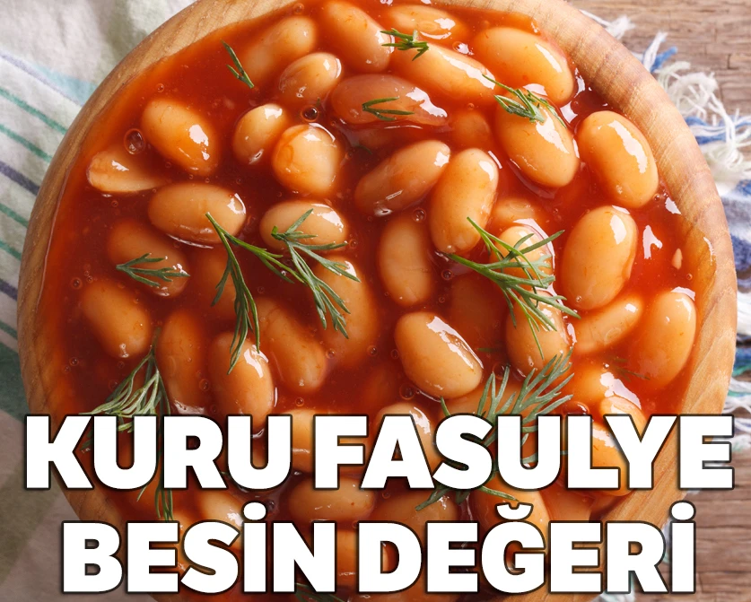 Kuru Fasulye Protein Miktarı, Kuru Fasulye Besin Değeri