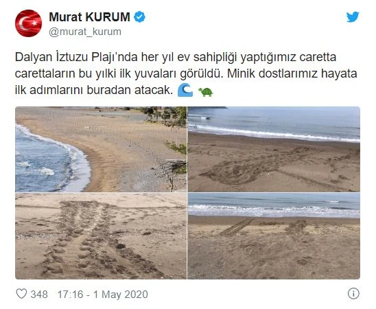 Bakan Kurum: İztuzu'nda caretta carettaların yuvaları görüldü