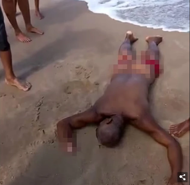 Brezilya'da sarhoş adam yanlışlıkla denize girdi köpekbalığı saldırdı