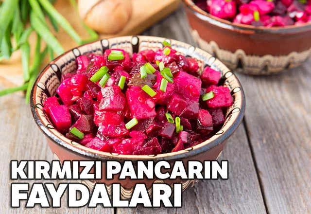 Kırmızı Pancarın Zararları, Kırmızı Pancar Turşusu