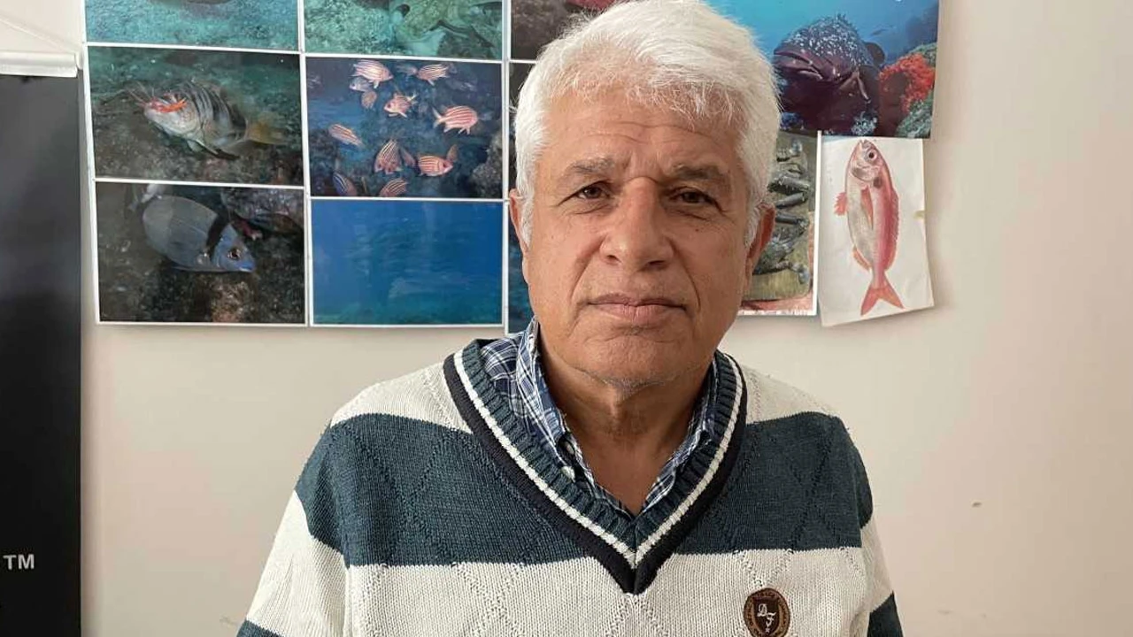 Akdeniz tropikalleşiyor: Kırmızı lagos balığı Antalya'da