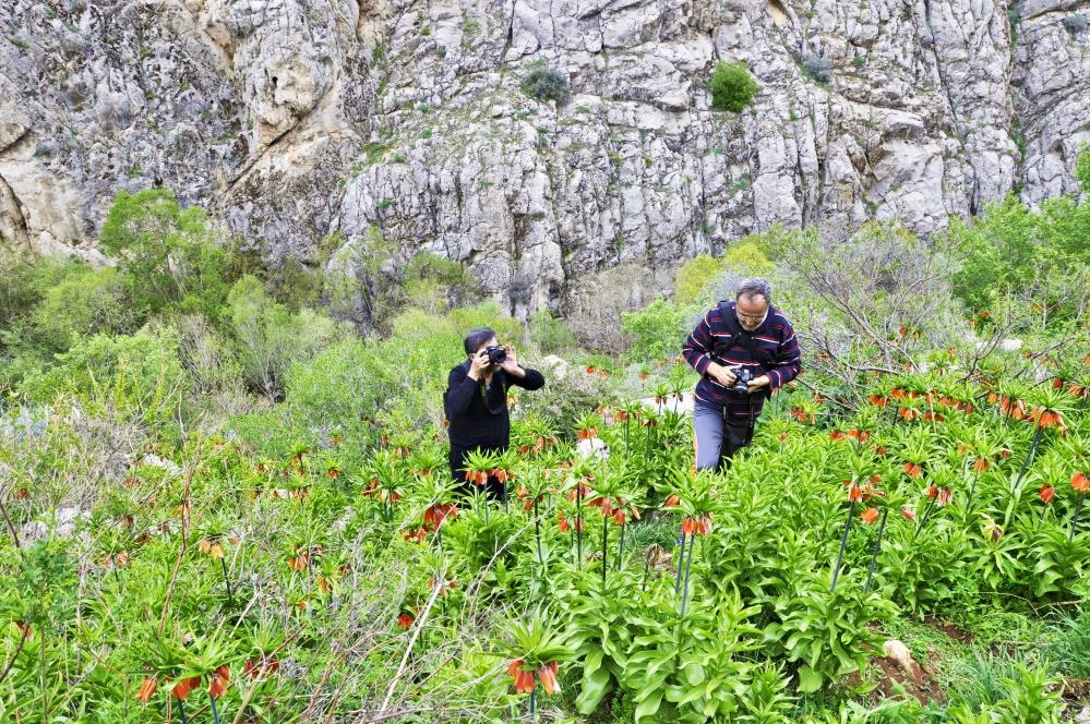 "Ağlayan Gelin"i koparana 60 bin lira ceza