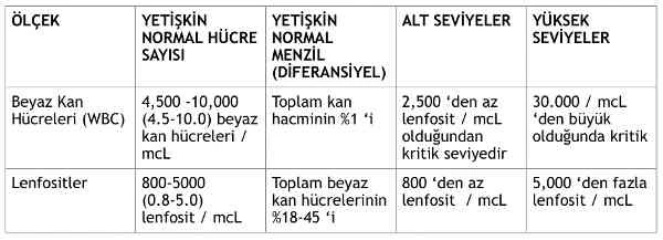 LYM nedir kaç olmalı? LYM yüksekliği düşüklüğü nedir LYM referans aralığı
