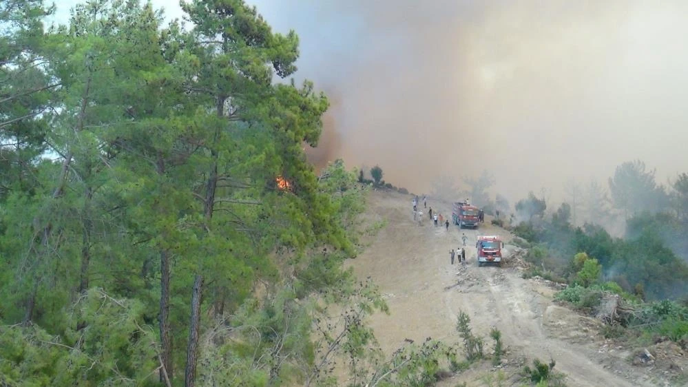 Orman yangını muhtarı ağlattı: Kendimi ateşe atacağım
