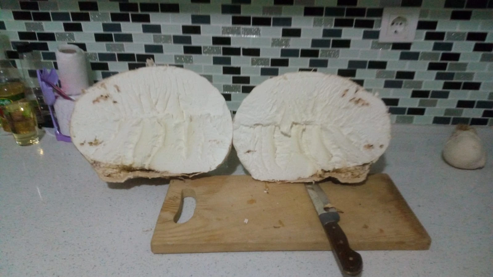 Yaylada 5 kiloluk dev mantar bulundu