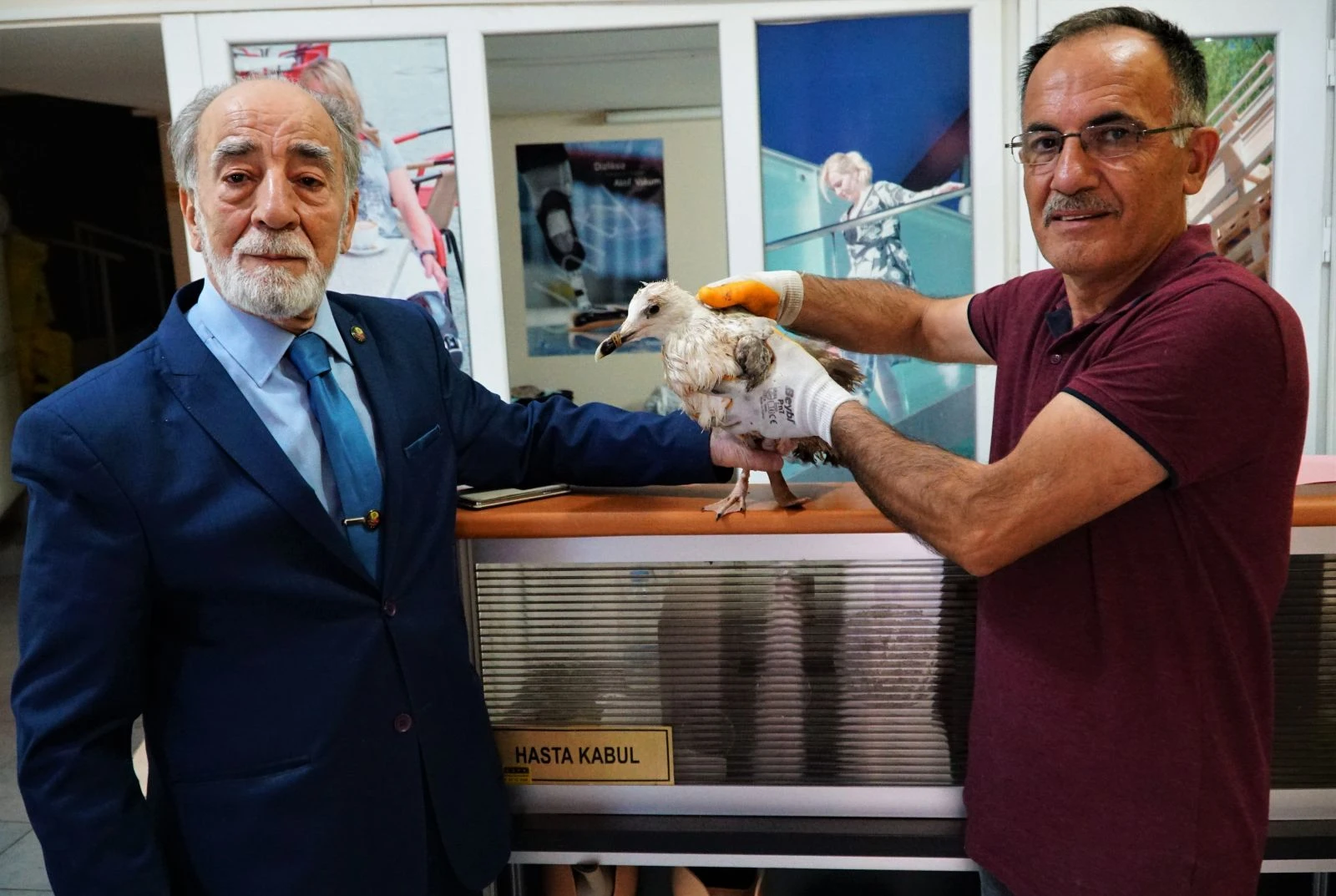 Ayağı kopan yaralı martıya 'protez'