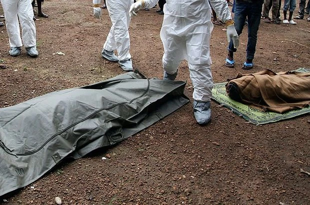 Madagaskar'da veba salgını! 1 haftada 7 kişi öldü