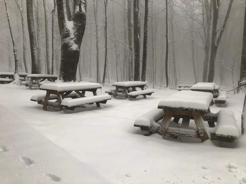 Mart ayında Kocaeli’nin yüksek kesimleri beyaza büründü