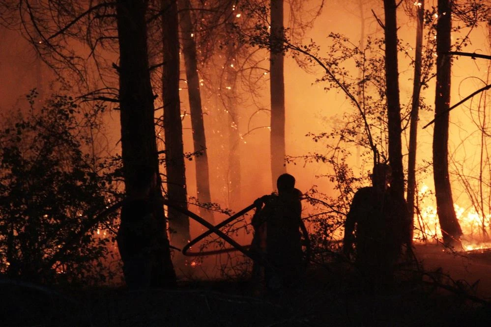 Canla başla mücadele: Alevler geceyi gündüze çevirdi