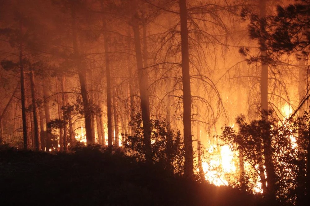 Canla başla mücadele: Alevler geceyi gündüze çevirdi
