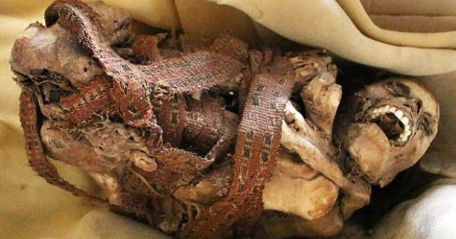 Kazı alanındaki çöpten 900 yıllık mumya çıktı