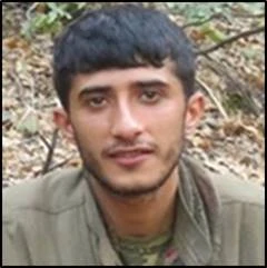 Muş'ta gri kategoride aranan Erdal Tekay isimli terörist etkisiz hale getirildi