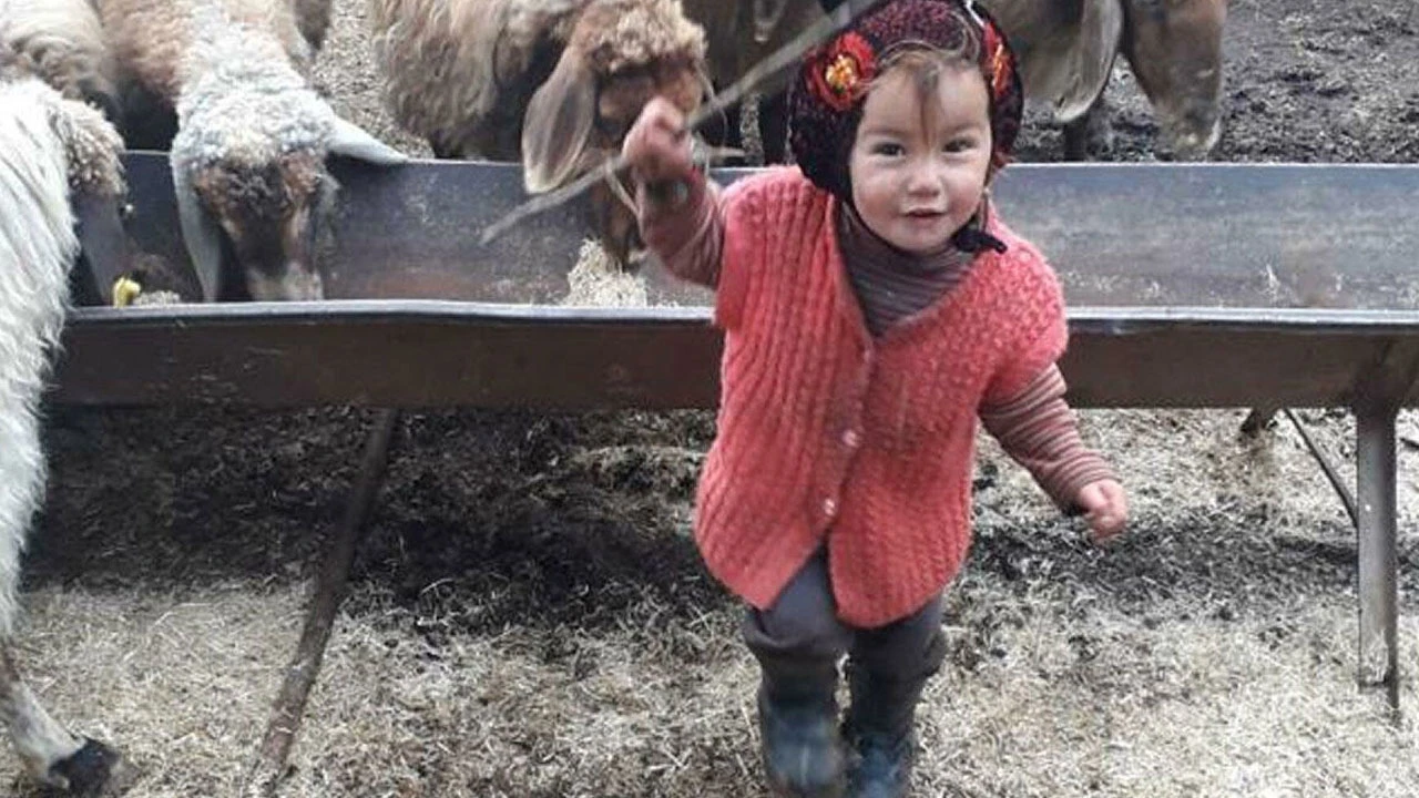 Minik Müslüme'nin ölümüyle ilgili savcılıktan karar