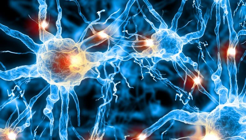 Alzheimer Hastalığı Nedir? Alzheimer Hastalığının İlk Belirtileri Nelerdir?