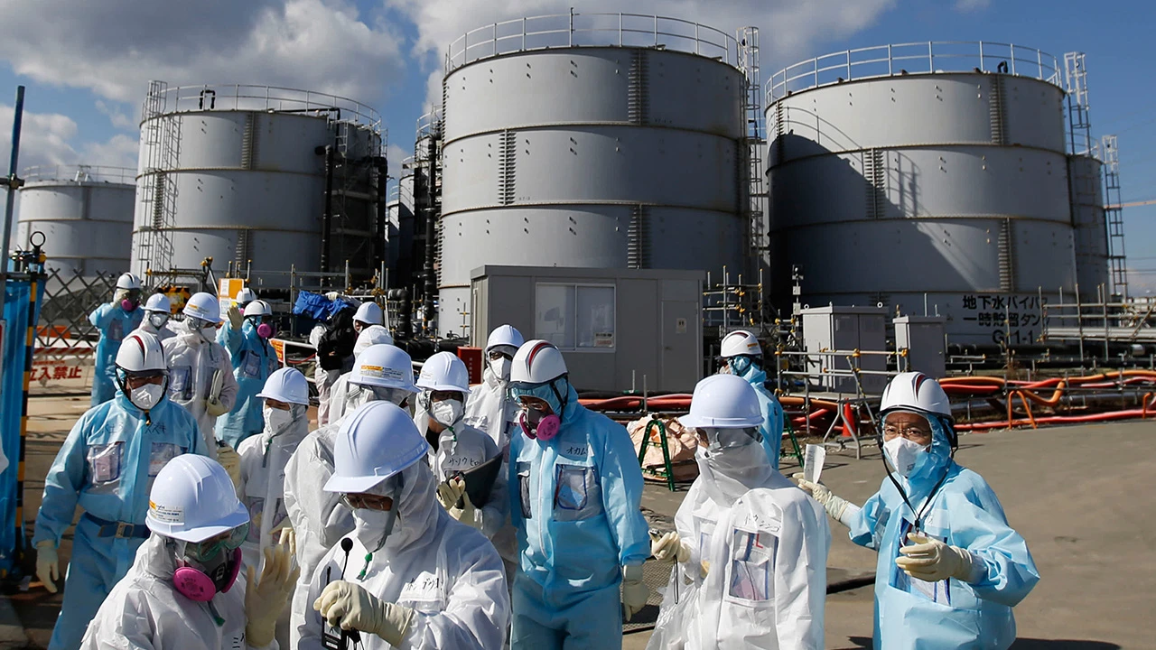 Nükleer sızıntı ağaçların şeklini değiştirdi