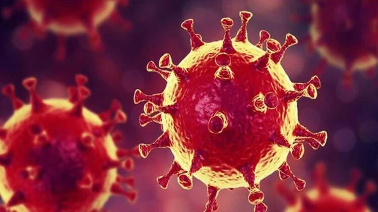 Omicron (Nu) varyantı BAE'ye sıçradı