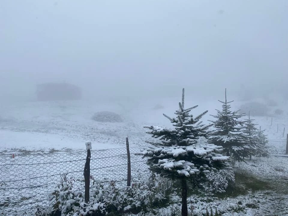 Mevsimin ilk karı yağdı! Yurdun dört yanı beyaza büründü