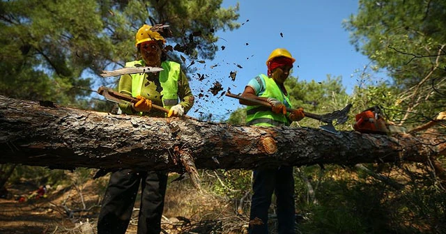 Tarım ve Orman Bakanlığına 2 bin işçi alınacak