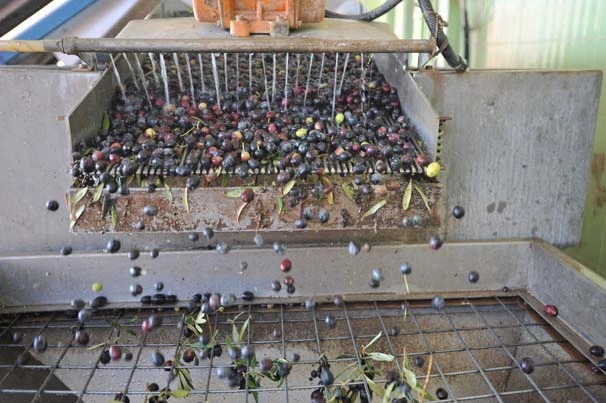 Ortadoğu ülkelerinden Nizip sabunlarına büyük ilgi