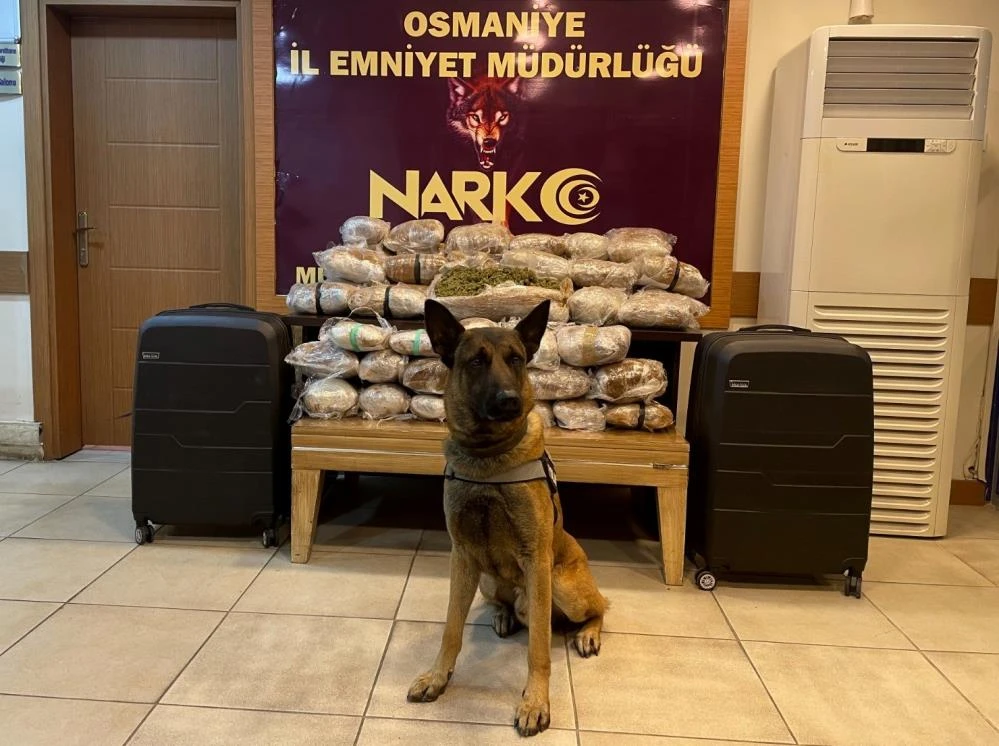 İki ilde zehir tacirlerine büyük darbe: Sobanın yanmaması polisin dikkatinden kaçmadı