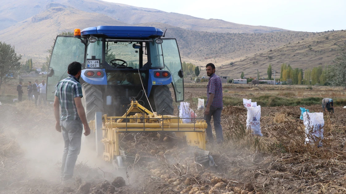 İki yeni yerli patates çeşidinin hasadı yapıldı
