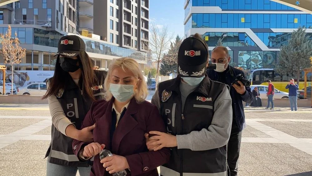 'Çakma Profesör’den Oscar’lık sahtekarlık: Herkesi parmağında oynatmış