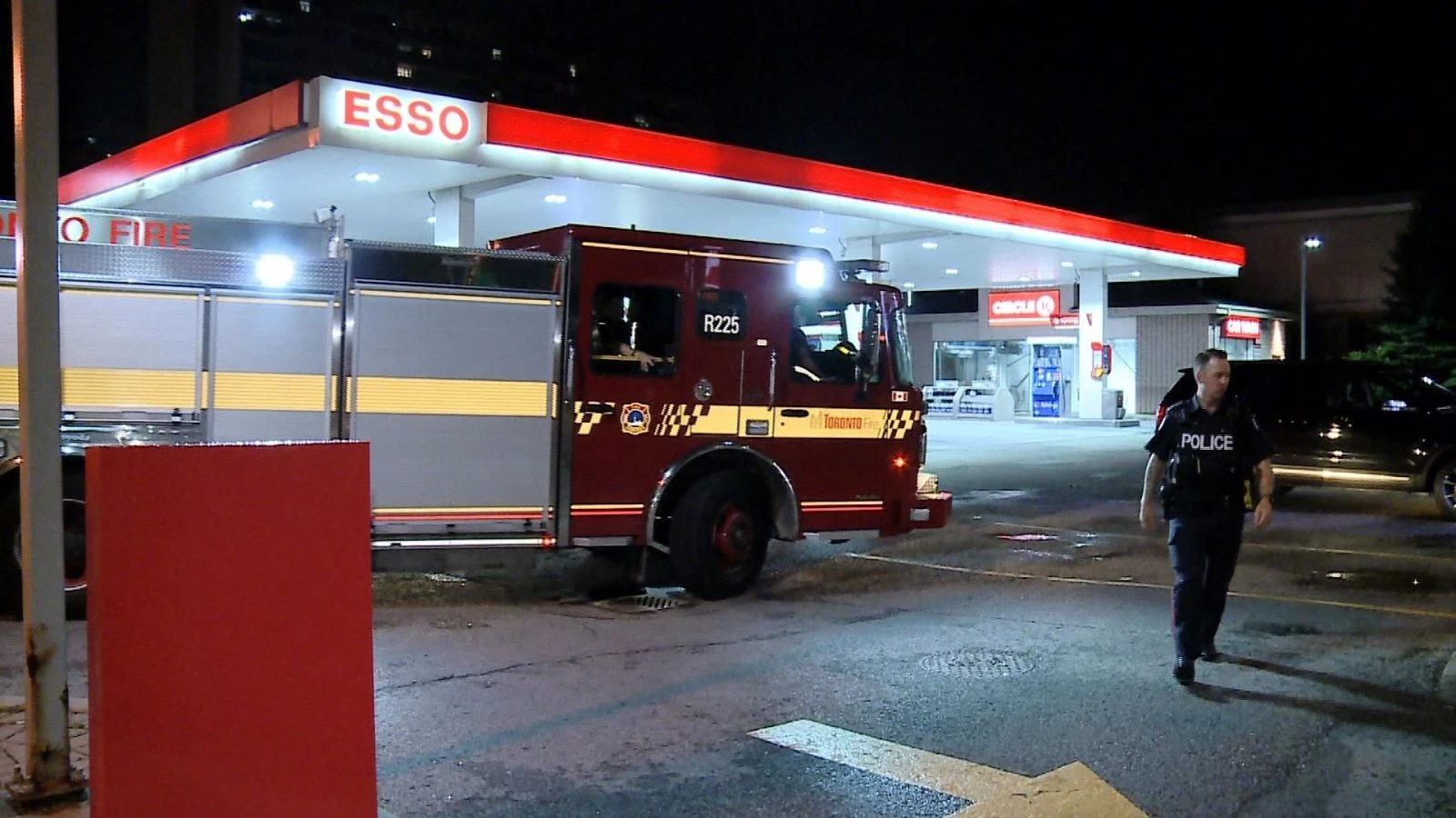 Kanada'da kanalizasyonda bulunan pitonun gerçek sahibi aranıyor