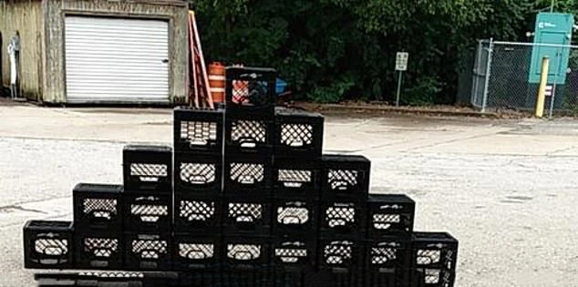 TikTok viral videoları yasakladı sebebi ortaya çıktı