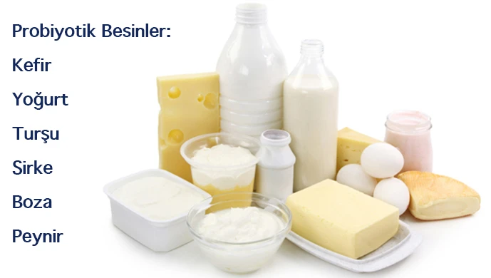 Probiyotik Nedir? Ne İşe Yarar? Hangi Besinlerde Bulunur?