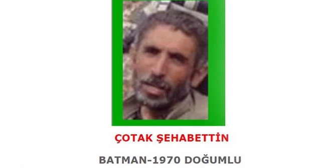 Yeşil kategoride aranan terörist etkisiz hale getirildi