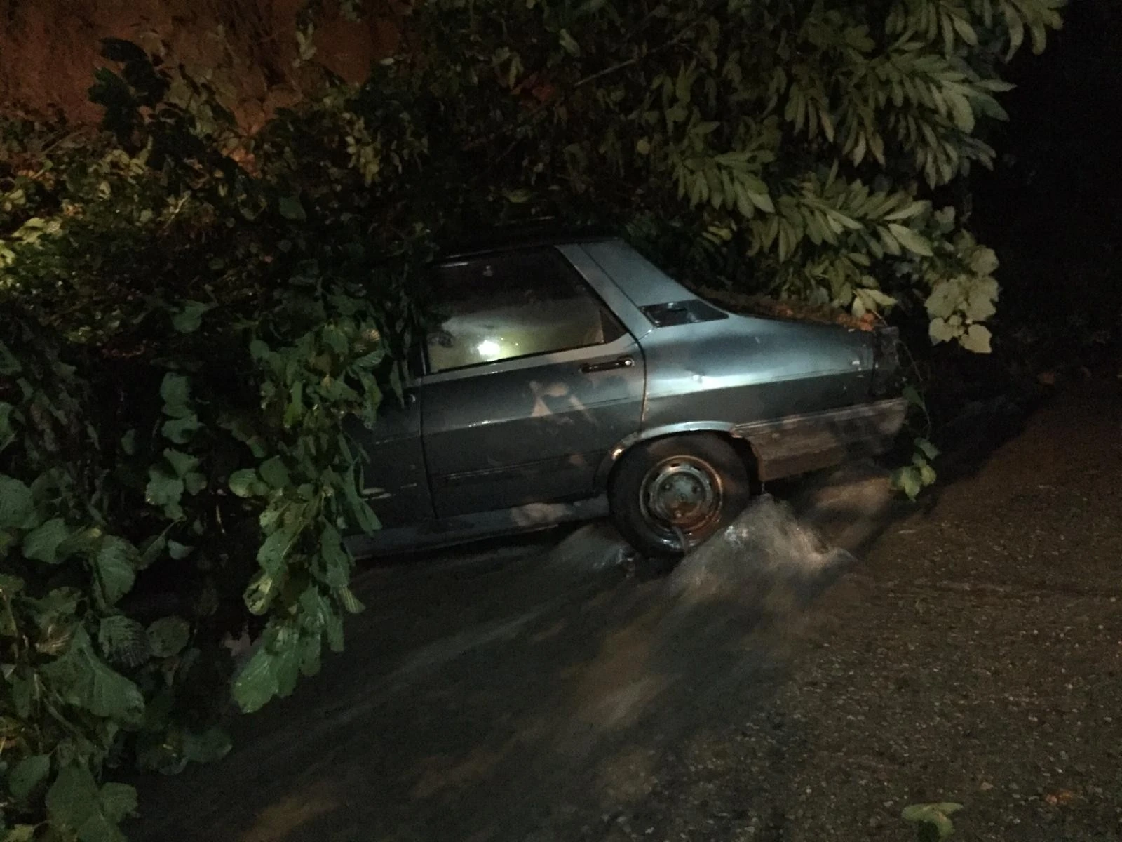 Rize'de şiddetli yağış