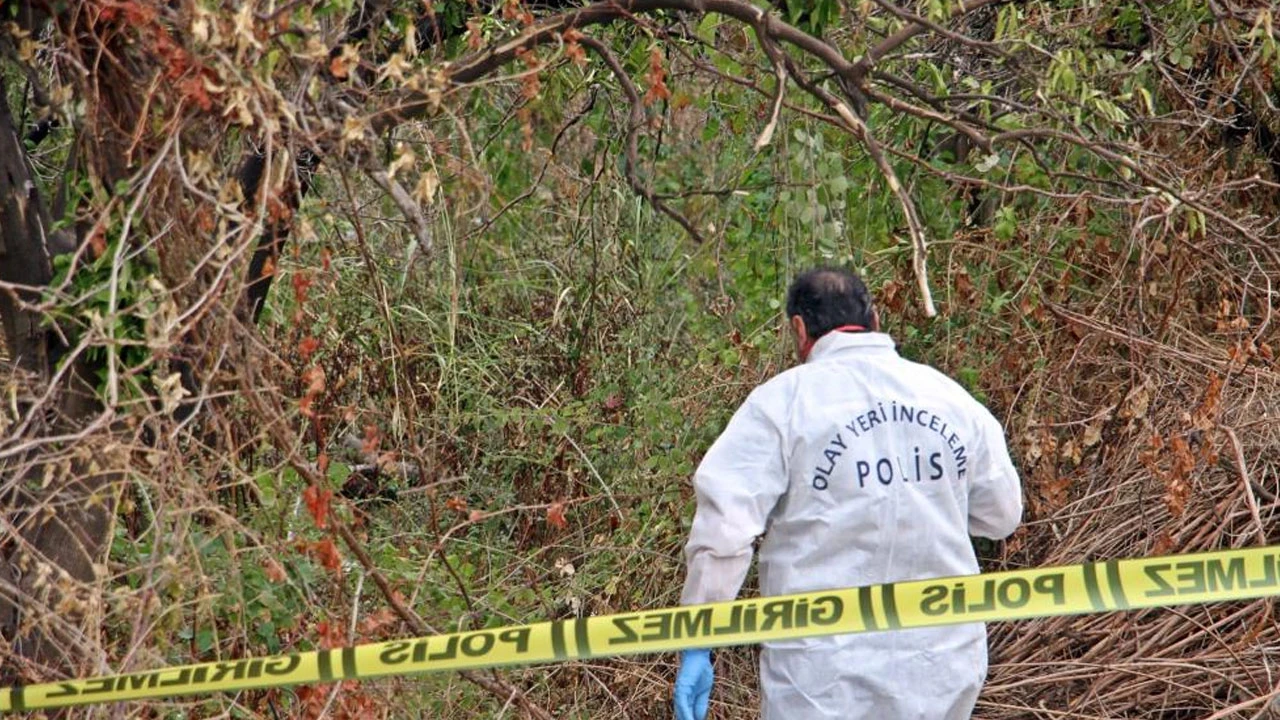 Rusça mesaj ölümü ortaya çıkardı: Kayıp adam ağaca asılı bulundu