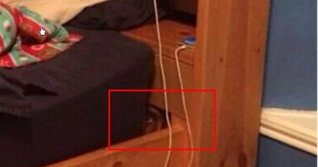 Bu fotoğrafı çektikten sonra eşinden boşandı