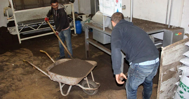 Edirne'de bir vatandaş 150 milyon solucanla, yılda 500 ton organik gübre üretiyor