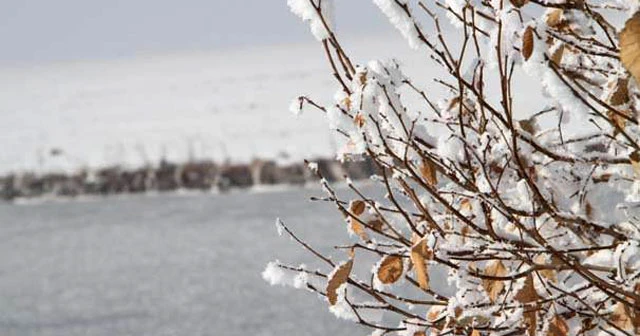 Ardahan'da dondurucu hava hayatı olumsuz etkiledi