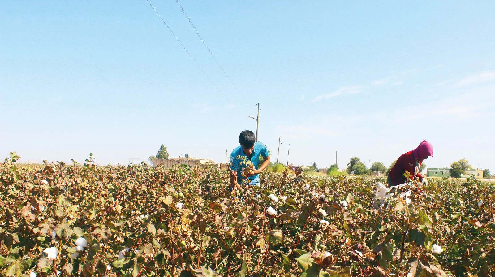 Teröre karşı tek yürek