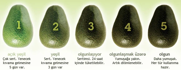 Avokado nasıl yenir? Avokado nasıl kesilir? Avokado faydaları ve Avokado nasıl tüketilir?