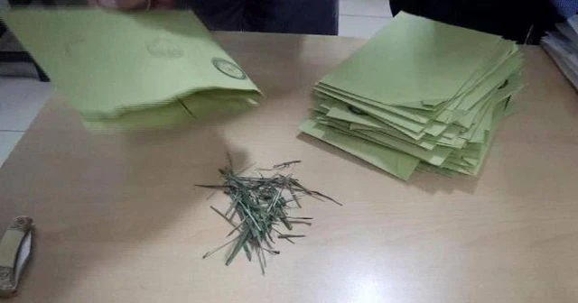 Rize'de şaşkınlık yaratan olay: Oy zarfından ot çıktı