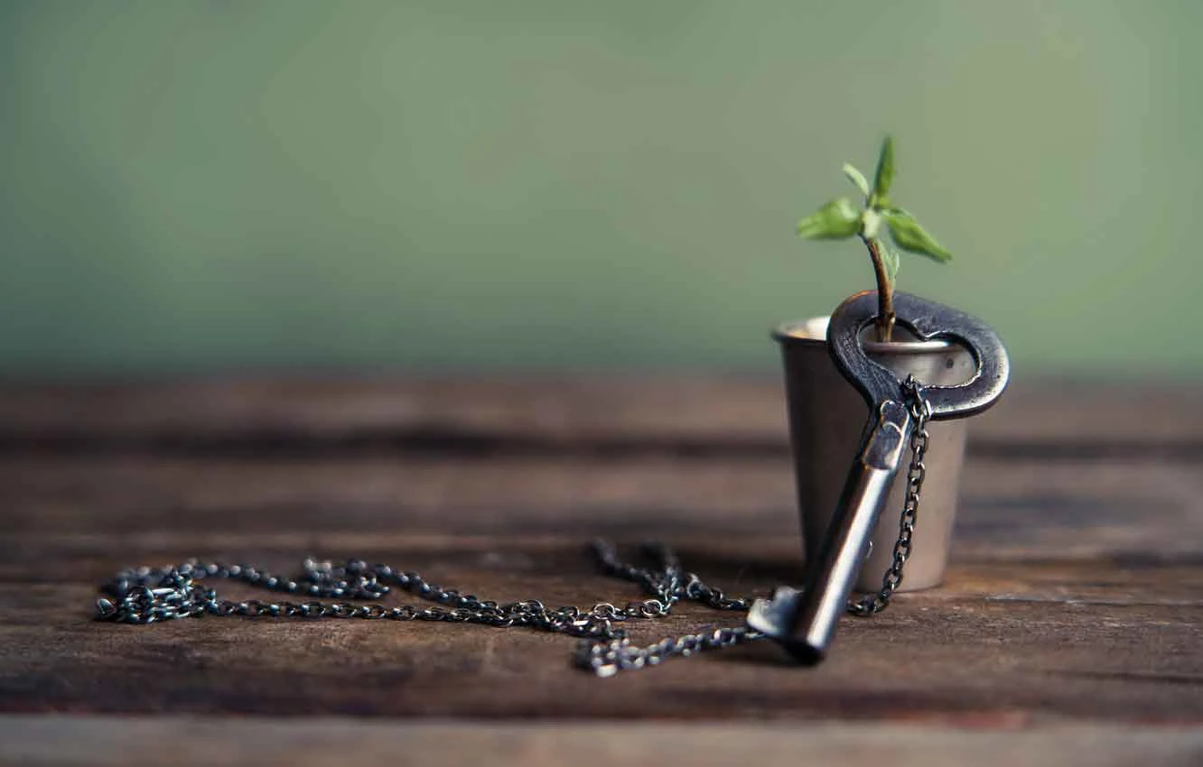 Rüyada Anahtar Görmek Ne Anlama Gelir