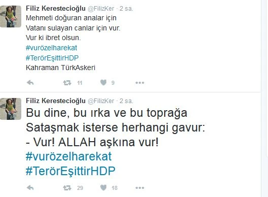 Ayyıldız Tim Filiz Kerestecioğlu'nun Twitter hesabını hackledi