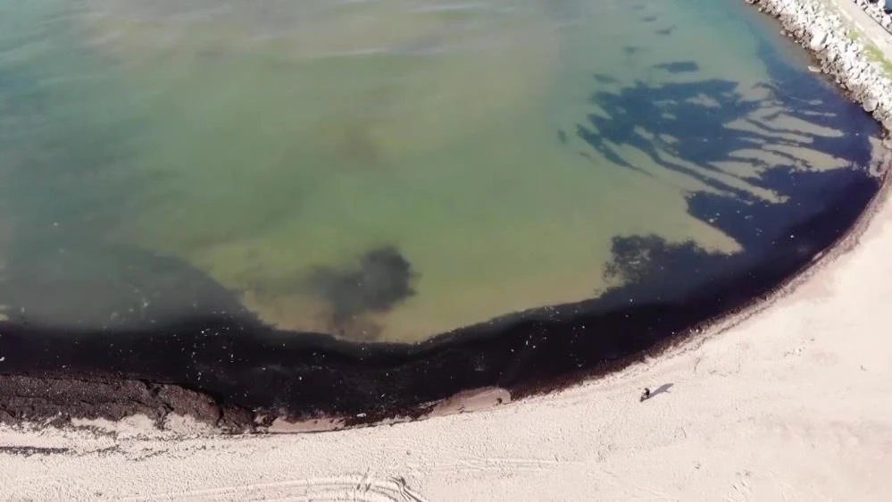 İstanbulluların akın ettiği sahil çöp yuvasına döndü