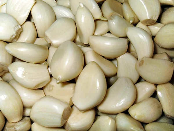 Sarımsak yutmanın faydaları