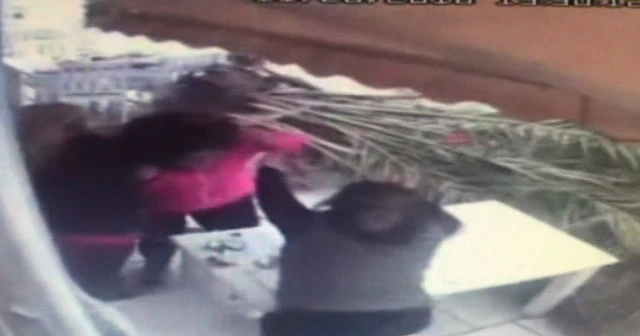 Restorana devrilen palmiye ağacı