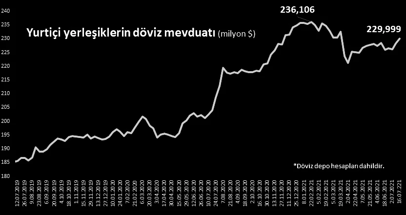 Vatandaşın döviz mevduatı 1,8 milyar dolar arttı