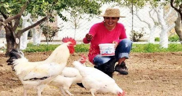 Bir zamanların aranan sunucusu Serap Ezgü şimdi ne yapıyor