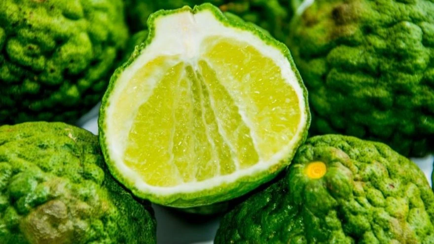 Bergamot Nasıl Bir Şey? Bergamot Faydaları Nelerdir? Bergamot Çayı Faydaları