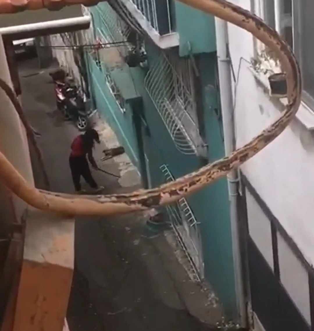 Çaydanlıkla polise saldıran kadın serbest kalınca mahalle sakinlerine sopayla saldırdı